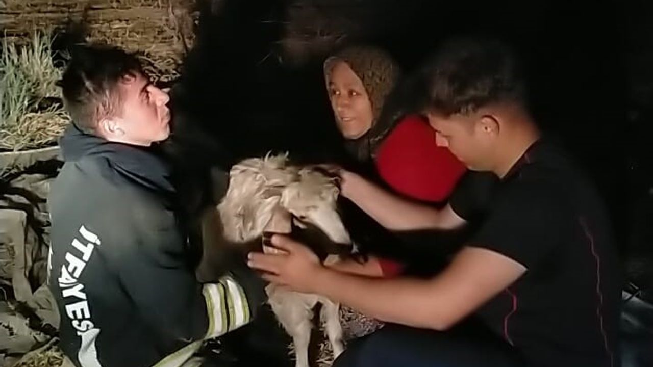 Konya’da 12 metrelik kuyuya düşen keçiyi itfaiye kurtardı