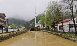 Uzungöl çamurgöl oldu