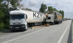 Yol kenarına park eden tıra arkadan gelen başka tır çarptı