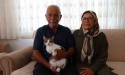 Depremde kaybettikleri kedilerini geri dönüp 5 ay sonra buldular