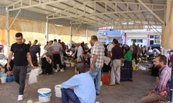 Mardin’de nefes aldıran organik pazar: Domates, patlıcan ve biber 10 lira