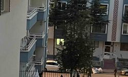 Annesini bıçakla öldürdükten sonra intihar etti