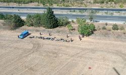 Kırklareli’nde 890 kaçak göçmen yakalandı