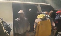 Osmaniye’de 6 kaçak göçmen yakalandı, 2 organizatör tutuklandı
