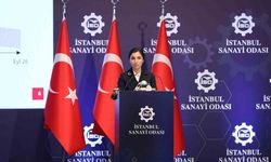 TCMB Başkanı: "Türk Lirasına geçiş başlamıştır"