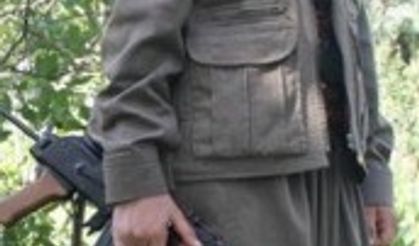 Siirt’te PKK/KCK terör örgütü mensubu adına oy kullanan şahıs yakalandı