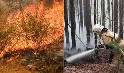 Kazakistan’daki orman yangınında can kaybı 14’e yükseldi