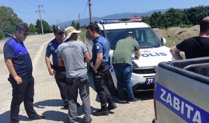 Altınova’da 3 kasa deniz börülcesiyle yakalandı