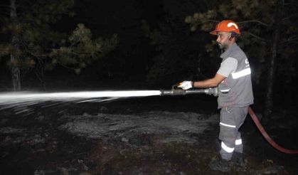 Kırıkkale’de orman yangını