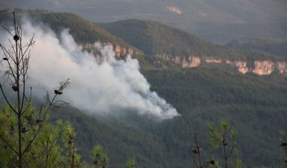 Karabük Valisi Yavuz’dan yangın açıklaması: "Karadan müdahale devam ediyor"
