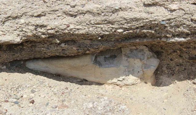 Sivas’ta bulundu, binlerce yıllık olduğu düşünülüyor