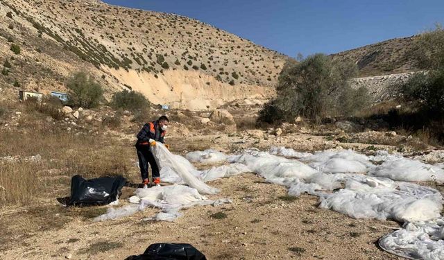 Kentte merak konusu olmuştu, geri dönüşüme kazandırılacak