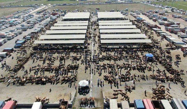 Şap hastalığı nedeniyle kapatılmıştı, tekrardan açılıyor