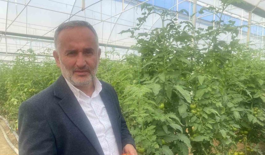 Yerli ve milli 50 çeşit hibrit tohumu 35 ülkeye ihraç ediyor